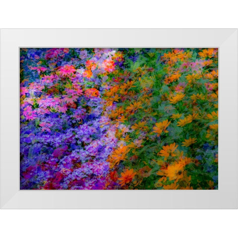 USA-Washington State-Pacific Northwest-Sammamish colorful flowers and blue picket fence White Modern Wood Framed Art Print by Gulin, Sylvia