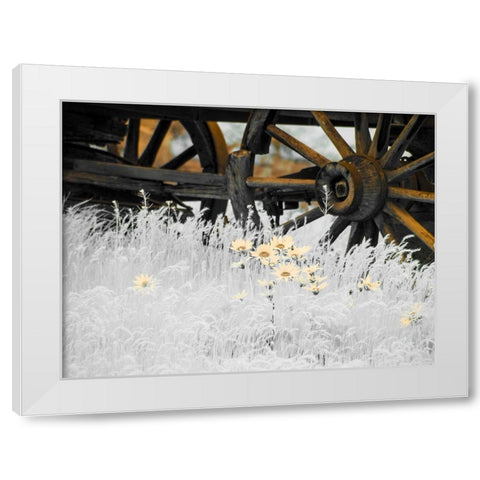 Wagon wheels with Spring wildflowers White Modern Wood Framed Art Print by Eggers, Terry