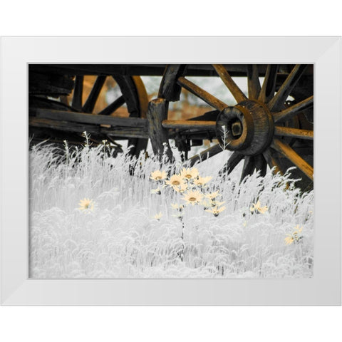 Wagon wheels with Spring wildflowers White Modern Wood Framed Art Print by Eggers, Terry