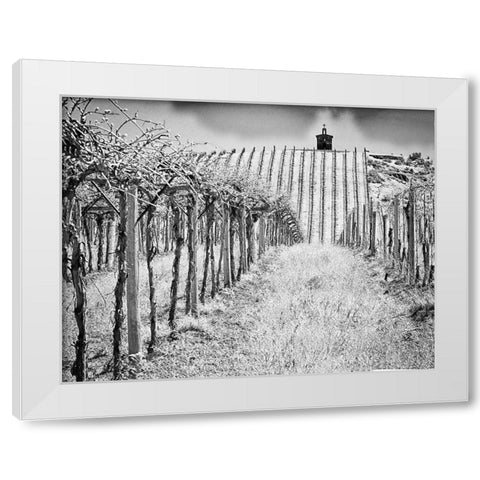Spring vineyard and chapel on top of hill (PR) White Modern Wood Framed Art Print by Eggers, Terry