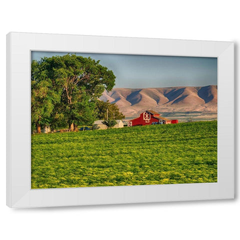 Evening light on red barn White Modern Wood Framed Art Print by Eggers, Terry