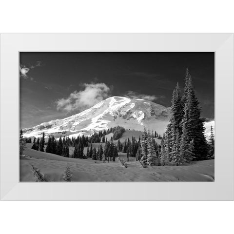 USA-Washington State-Mt-Rainier National Park-Winter on Mount Rainier White Modern Wood Framed Art Print by Eggers, Terry