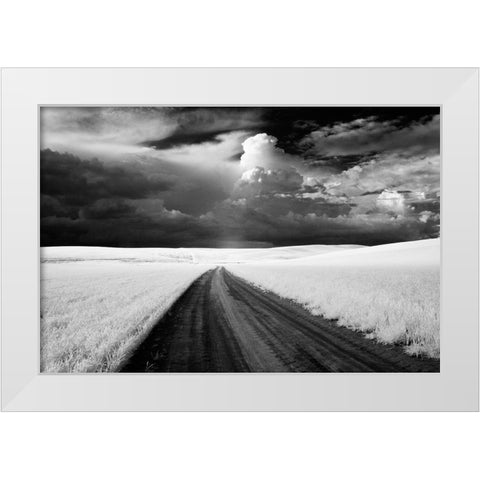 USA-Washington State-Country backroad White Modern Wood Framed Art Print by Eggers, Terry