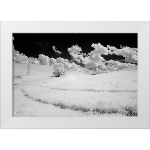 USA-Washington State-Lone tree in field of wheat White Modern Wood Framed Art Print by Eggers, Terry