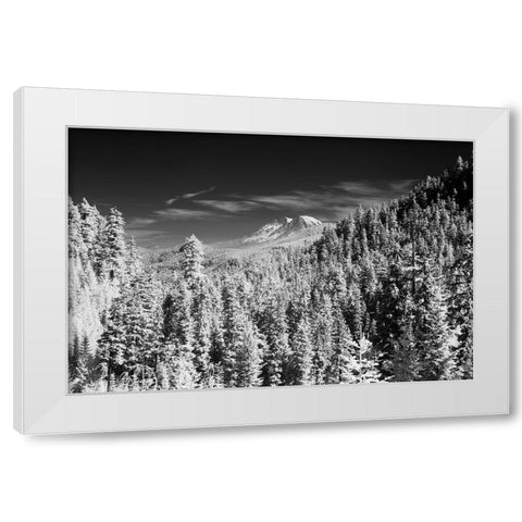 USA-Washington State-Mt-Rainier viewed from the South White Modern Wood Framed Art Print by Eggers, Terry