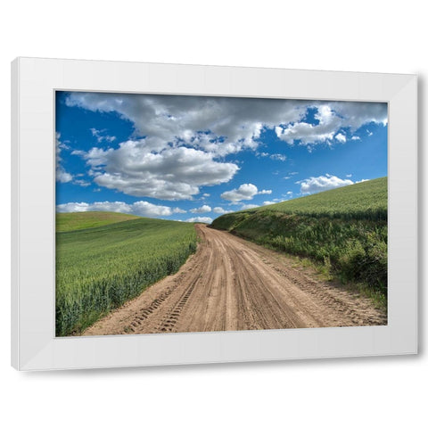 USA-Washington State-Palouse-Country Backroad through Spring wheat fields White Modern Wood Framed Art Print by Eggers, Terry