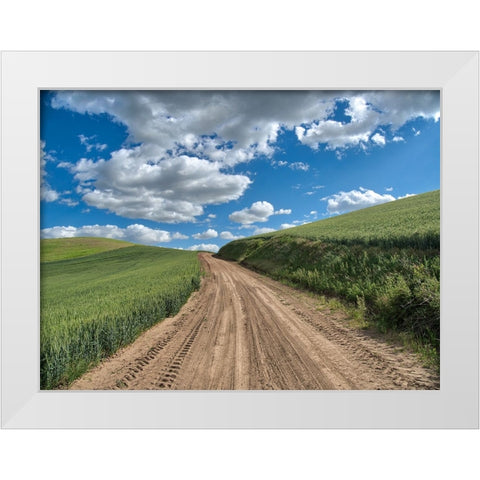 USA-Washington State-Palouse-Country Backroad through Spring wheat fields White Modern Wood Framed Art Print by Eggers, Terry