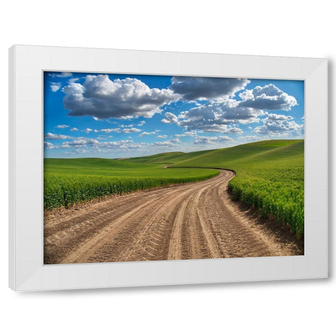 USA-Washington State-Palouse-Country Backroad through Spring wheat fields White Modern Wood Framed Art Print by Eggers, Terry