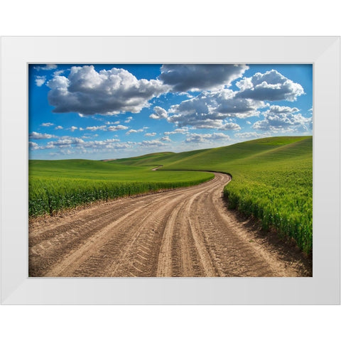 USA-Washington State-Palouse-Country Backroad through Spring wheat fields White Modern Wood Framed Art Print by Eggers, Terry