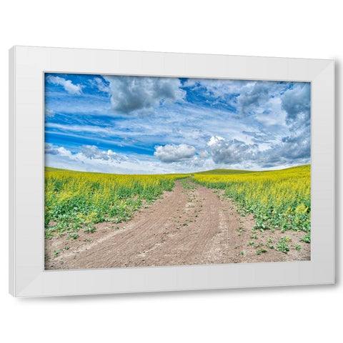 USA-Washington State-Palouse-Country Backroad through Spring canola fields White Modern Wood Framed Art Print by Eggers, Terry