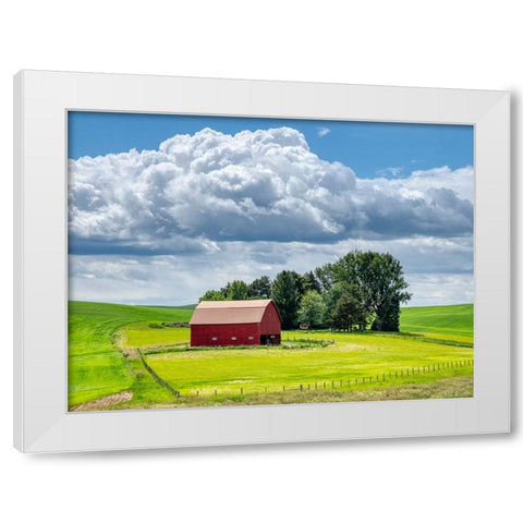 USA-Washington State-Palouse-Old Red barn with fresh green fields White Modern Wood Framed Art Print by Eggers, Terry