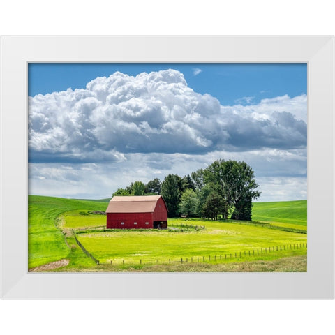 USA-Washington State-Palouse-Old Red barn with fresh green fields White Modern Wood Framed Art Print by Eggers, Terry