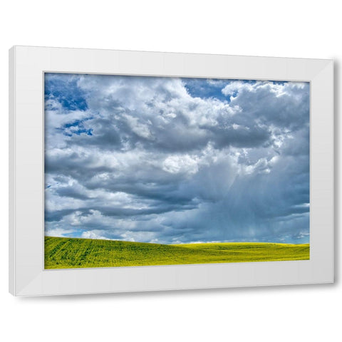 USA-Washington State-Palouse-Spring canola field with beautiful clouds White Modern Wood Framed Art Print by Eggers, Terry