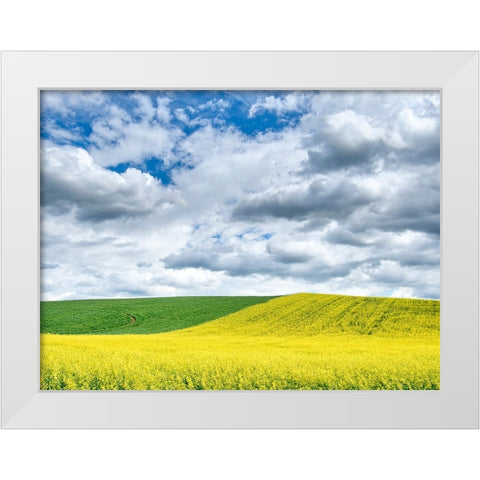 USA-Washington State-Palouse-Rolling hills of canola and wheat White Modern Wood Framed Art Print by Eggers, Terry