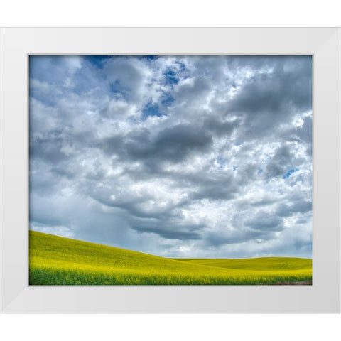 USA-Washington State-Palouse-Spring canola field with beautiful clouds White Modern Wood Framed Art Print by Eggers, Terry