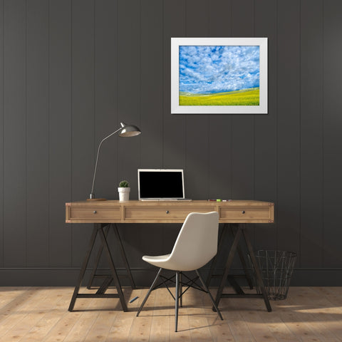 USA-Washington State-Palouse-Spring canola field with beautiful clouds White Modern Wood Framed Art Print by Eggers, Terry