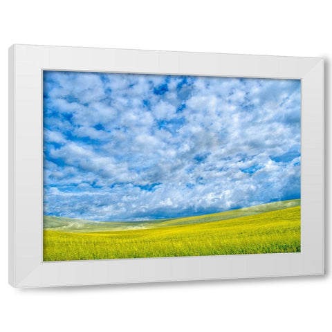 USA-Washington State-Palouse-Spring canola field with beautiful clouds White Modern Wood Framed Art Print by Eggers, Terry