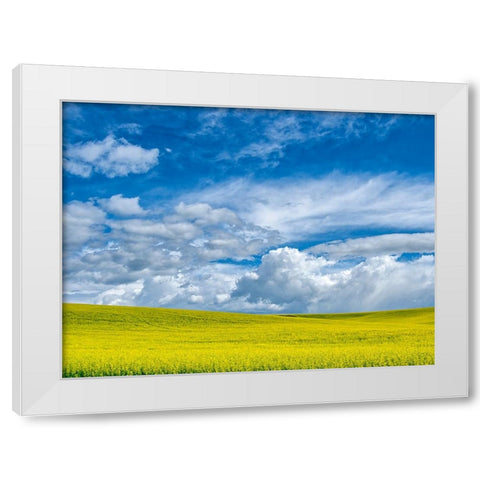 USA-Washington State-Palouse-Spring canola field with beautiful clouds White Modern Wood Framed Art Print by Eggers, Terry
