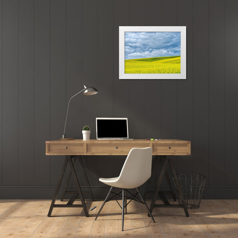 USA-Washington State-Palouse-Rolling hills of canola and wheat White Modern Wood Framed Art Print by Eggers, Terry