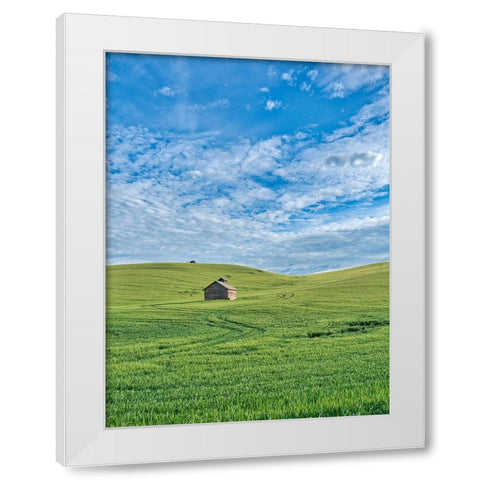 USA-Washington State-Small barn and tracks in wheat field White Modern Wood Framed Art Print by Eggers, Terry