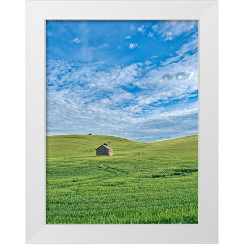 USA-Washington State-Small barn and tracks in wheat field White Modern Wood Framed Art Print by Eggers, Terry