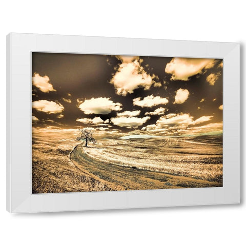USA-Washington State-Palouse-Country backroad with lone tree White Modern Wood Framed Art Print by Eggers, Terry