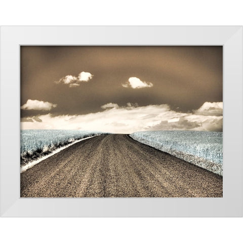 USA-Washington State-Palouse-Country backroad through spring crops White Modern Wood Framed Art Print by Eggers, Terry