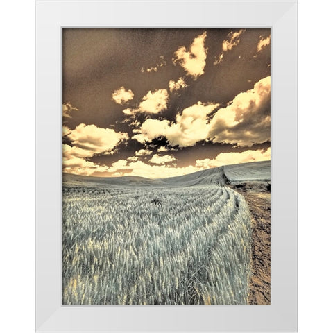 USA-Washington State-Palouse-Crops growing on the rolling hills of the Palouse White Modern Wood Framed Art Print by Eggers, Terry