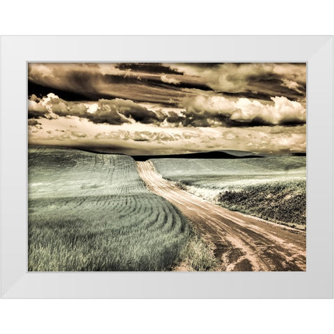 USA-Washington State-Palouse-Country backroad through spring crops White Modern Wood Framed Art Print by Eggers, Terry