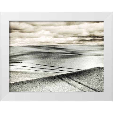 USA-Washington State-Palouse-Crops growing on the rolling hills of the Palouse White Modern Wood Framed Art Print by Eggers, Terry