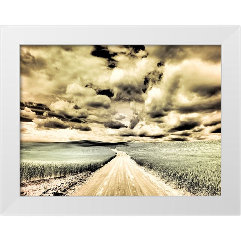 USA-Washington State-Palouse-Country backroad through spring crops White Modern Wood Framed Art Print by Eggers, Terry