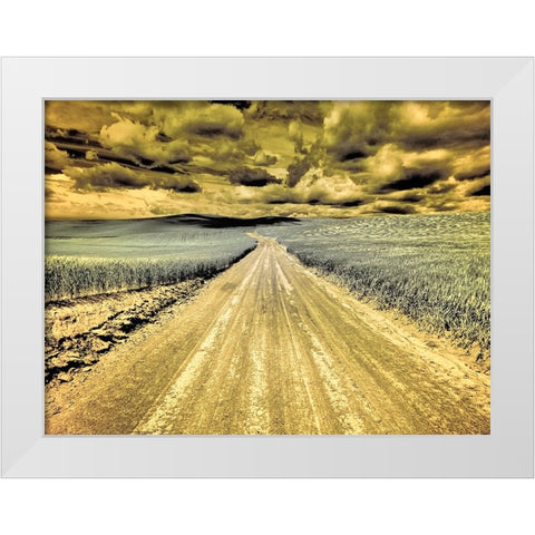 USA-Washington State-Palouse-Country backroad through spring crops White Modern Wood Framed Art Print by Eggers, Terry