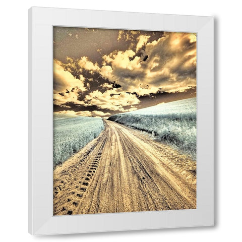 USA-Washington State-Palouse-Country backroad through spring crops White Modern Wood Framed Art Print by Eggers, Terry