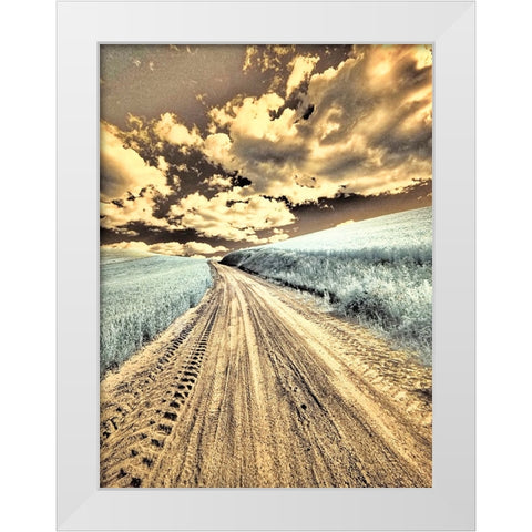 USA-Washington State-Palouse-Country backroad through spring crops White Modern Wood Framed Art Print by Eggers, Terry