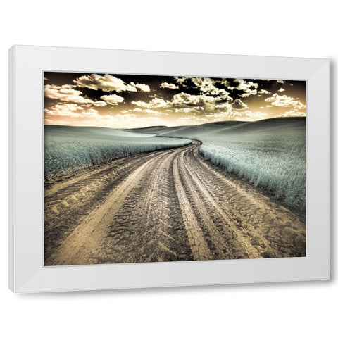 USA-Washington State-Palouse-Country backroad through spring crops White Modern Wood Framed Art Print by Eggers, Terry