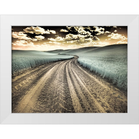 USA-Washington State-Palouse-Country backroad through spring crops White Modern Wood Framed Art Print by Eggers, Terry