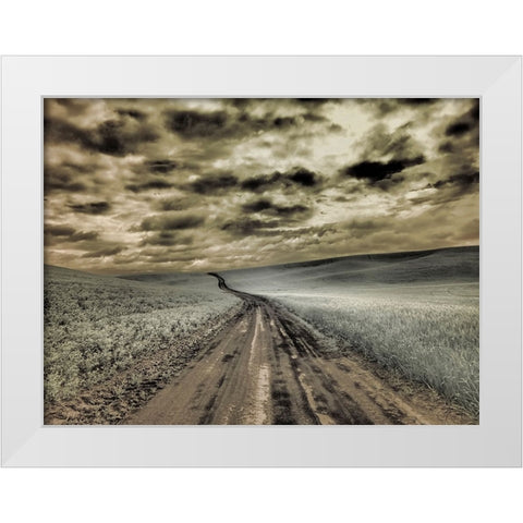 USA-Washington State-Palouse-Country backroad through spring crops White Modern Wood Framed Art Print by Eggers, Terry