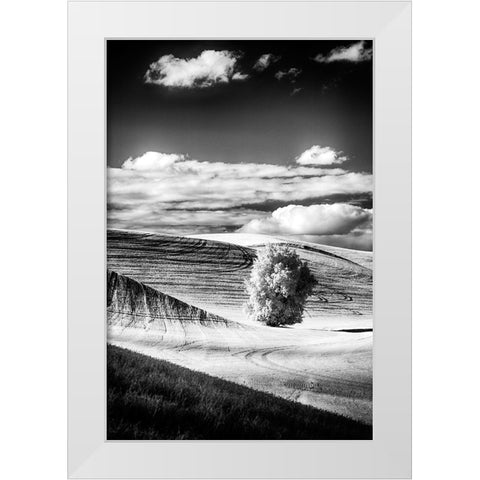 USA-Palouse Country-Washington State-Infrared Palouse fields and lone tree White Modern Wood Framed Art Print by Eggers, Terry