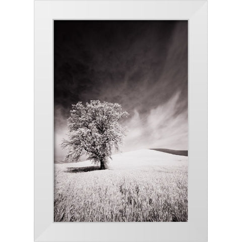 USA-Palouse Country-Infrared Palouse fields and lone tree White Modern Wood Framed Art Print by Eggers, Terry