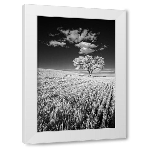 USA-Palouse Country-Washington State-Infrared Palouse fields and lone tree White Modern Wood Framed Art Print by Eggers, Terry