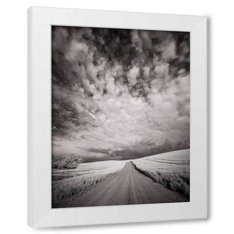 USA-Washington State-Palouse-Backcountry road through wheat field and clouds White Modern Wood Framed Art Print by Eggers, Terry