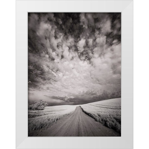 USA-Washington State-Palouse-Backcountry road through wheat field and clouds White Modern Wood Framed Art Print by Eggers, Terry