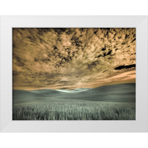 USA-Washington State-Palouse-wheat field and clouds White Modern Wood Framed Art Print by Eggers, Terry