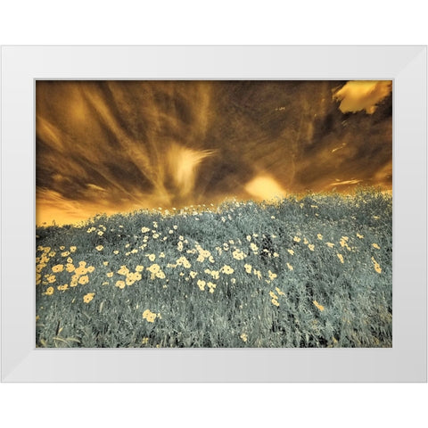 USA-Washington State-Palouse-Spring Poppies and Backcountry road through wheat field and clouds White Modern Wood Framed Art Print by Eggers, Terry