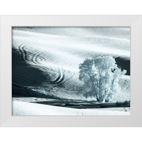 USA-Washington State-Palouse region-Lone tree in Field White Modern Wood Framed Art Print by Eggers, Terry