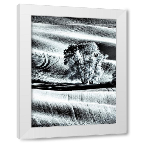 USA-Washington State-Palouse region-Lone tree in Field White Modern Wood Framed Art Print by Eggers, Terry