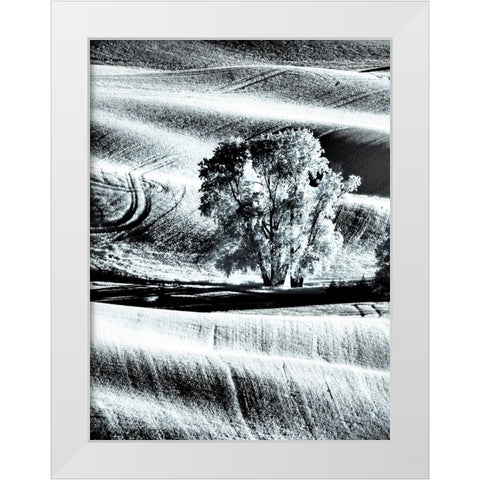 USA-Washington State-Palouse region-Lone tree in Field White Modern Wood Framed Art Print by Eggers, Terry