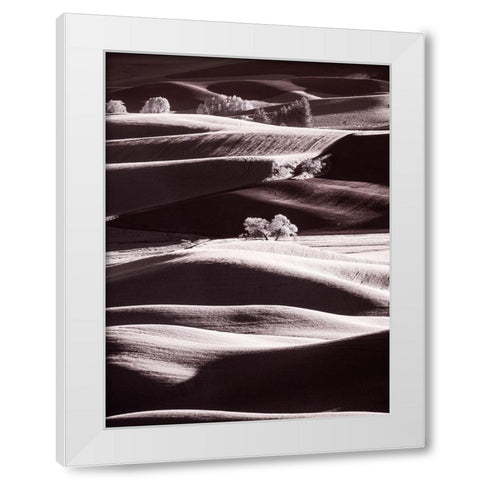 USA-Washington State-Palouse region-Rolling hills at Sunset White Modern Wood Framed Art Print by Eggers, Terry