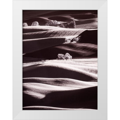 USA-Washington State-Palouse region-Rolling hills at Sunset White Modern Wood Framed Art Print by Eggers, Terry