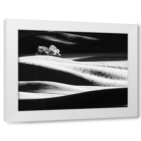 USA-Washington State-Palouse region-Lone tree in Field White Modern Wood Framed Art Print by Eggers, Terry